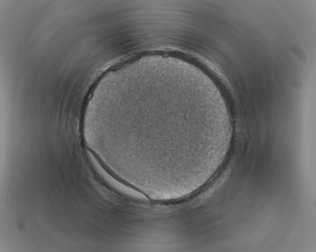 X0000113230881200910221037