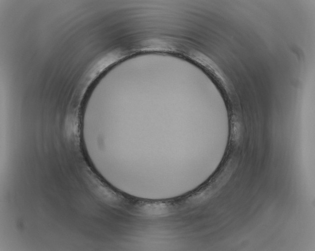 X0000113230882200910221037