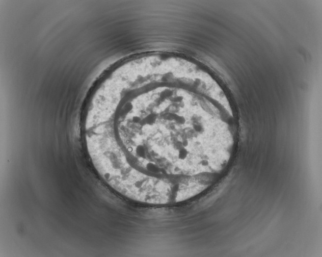 X0000113230883200910221037