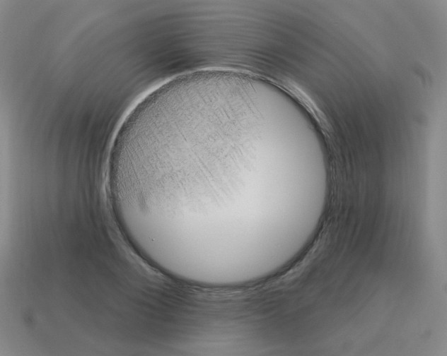 X0000113230884200910221037