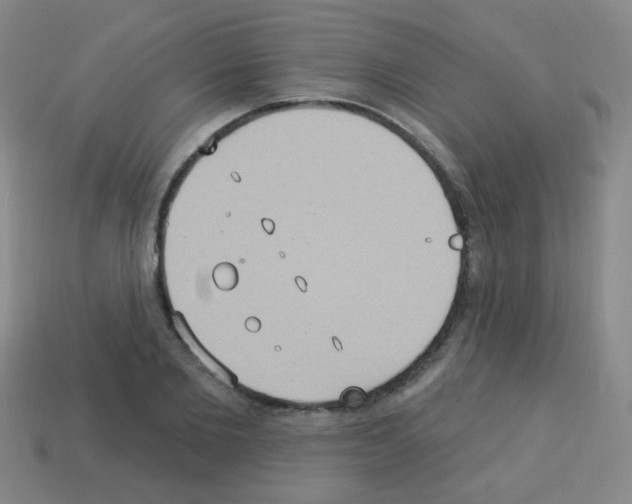 X0000113230885200910221037