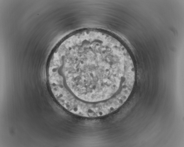 X0000113230887200910221037