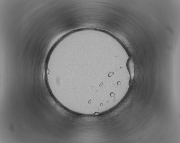 X0000113230888200910221037