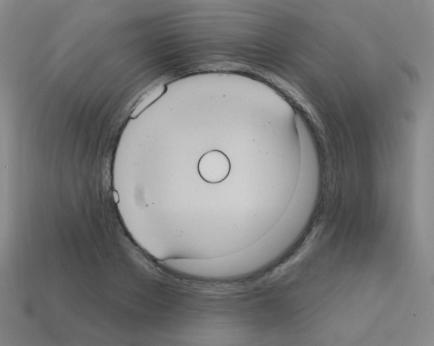 X0000113230889200910221037