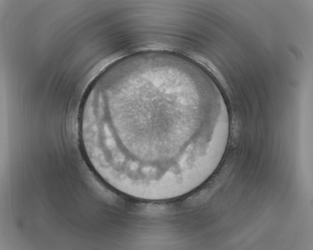 X0000113230890200910221037