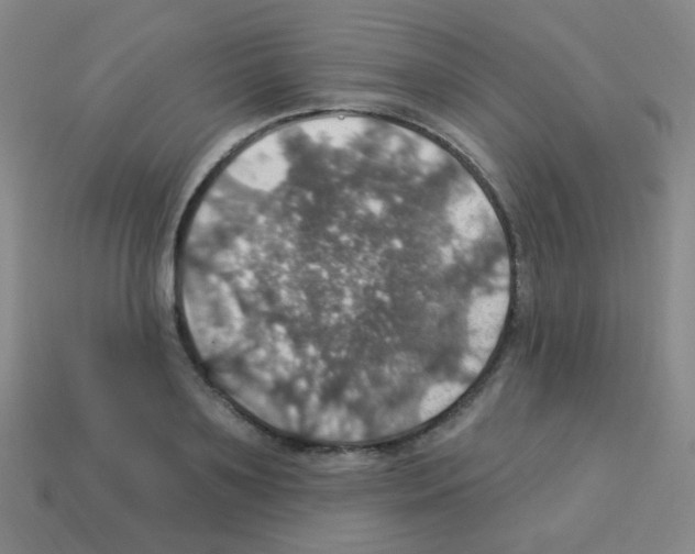 X0000113230891200910221037