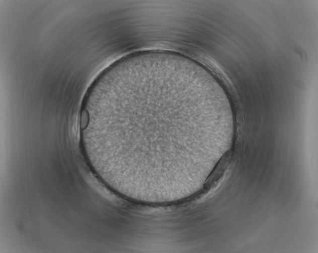 X0000113230892200910221037