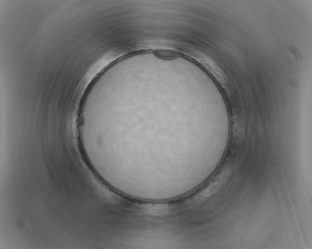 X0000113230893200910221037