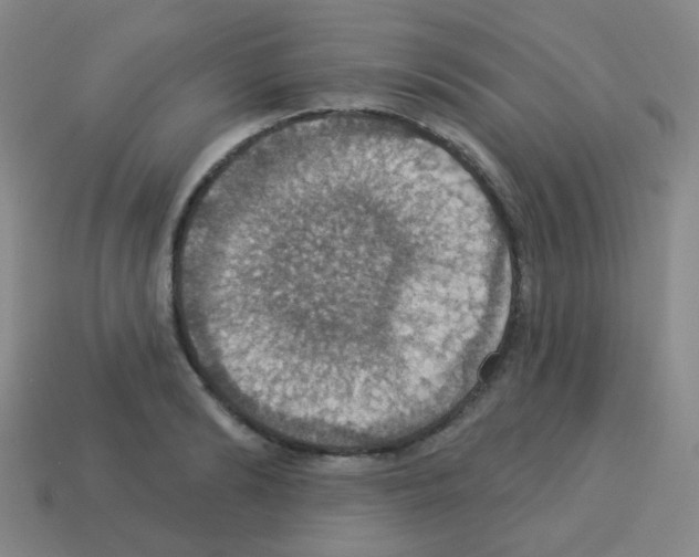 X0000113230894200910221037