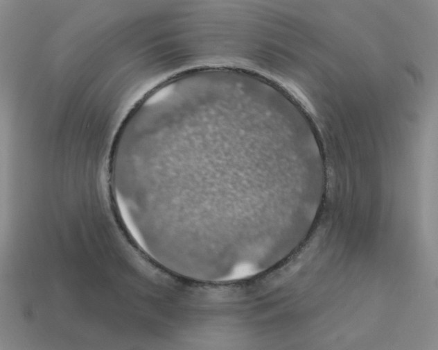 X0000113230895200910221037