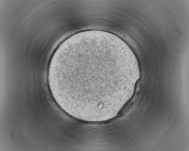 X0000113230896200910221037