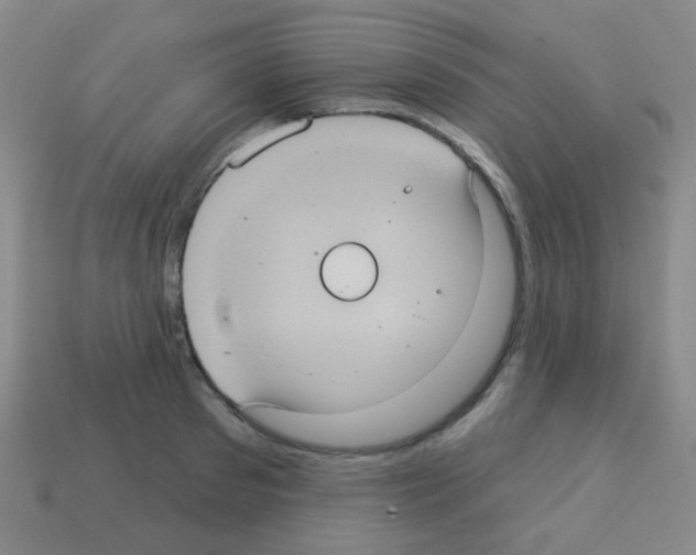 X0000113230897200910221037