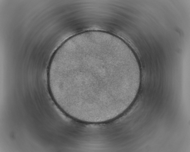 X0000113230898200910221037