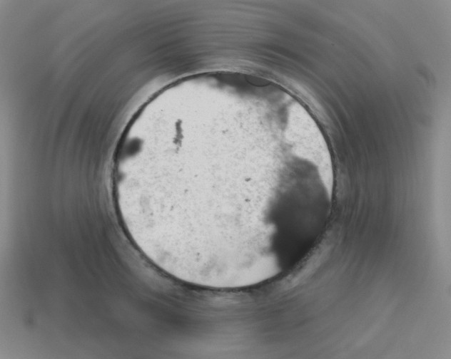 X0000113230899200910221037