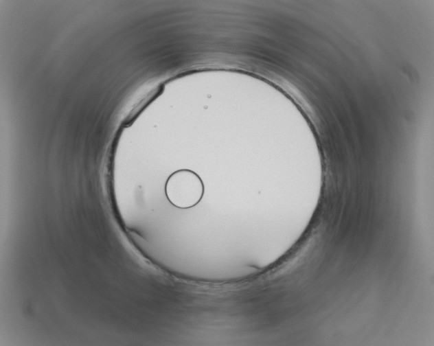 X0000113230901200910221037