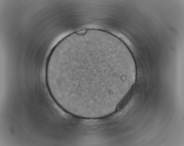 X0000113230902200910221037