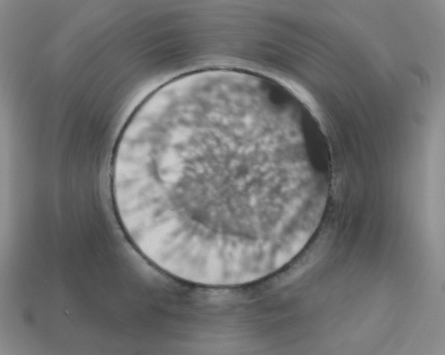 X0000113230903200910221037