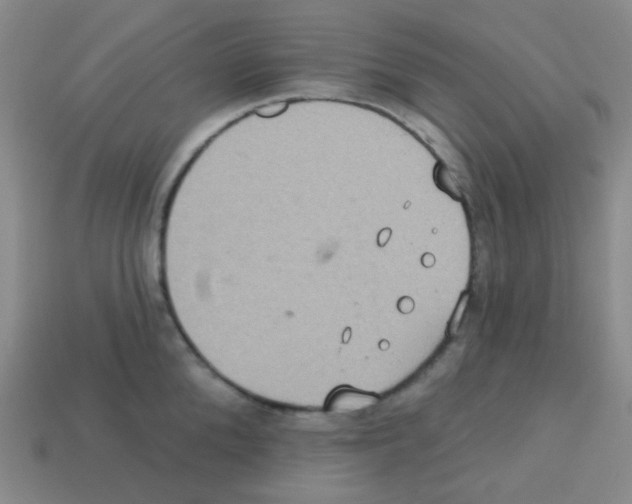 X0000113230904200910221037