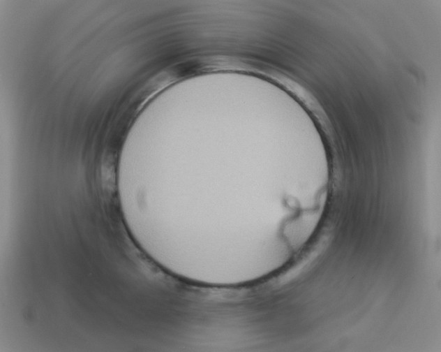 X0000113230905200910221037