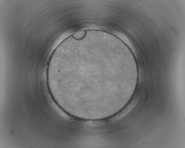 X0000113230906200910221037