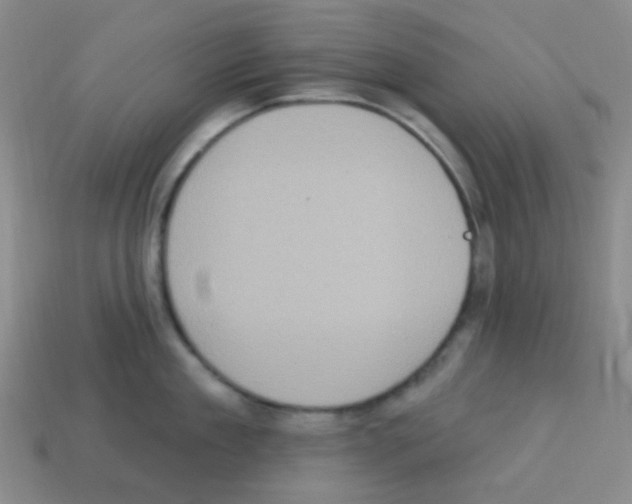 X0000113230909200910221036