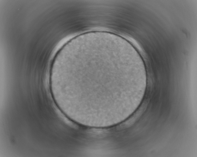 X0000113230910200910221036