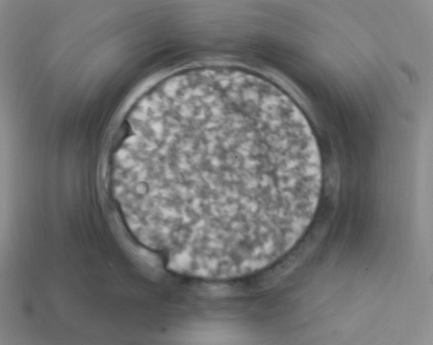 X0000113230911200910221036