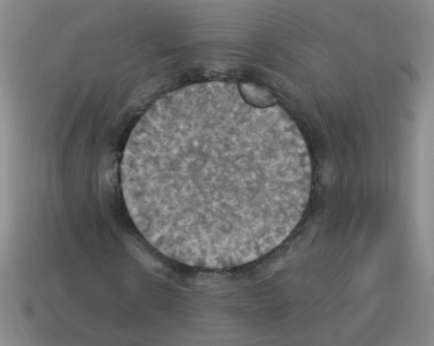 X0000113230914200910221036