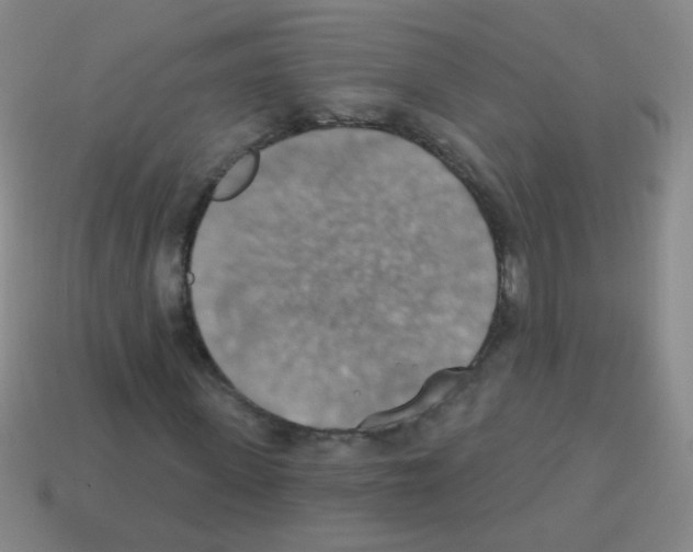 X0000113230915200910221036