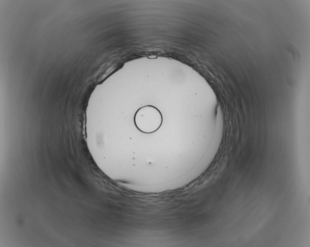 X0000113230916200910221036