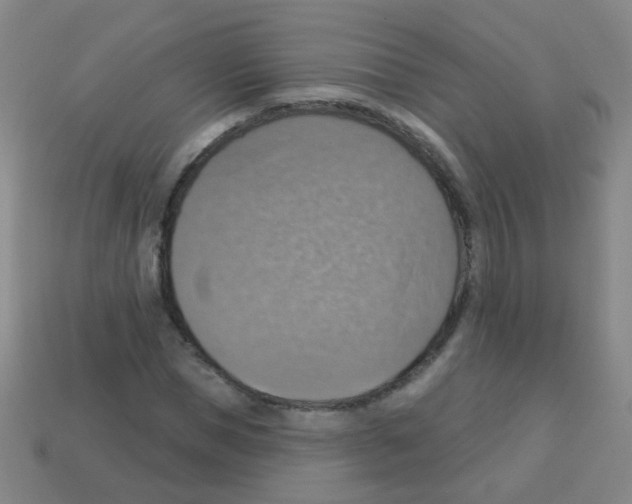 X0000113230921200910221036