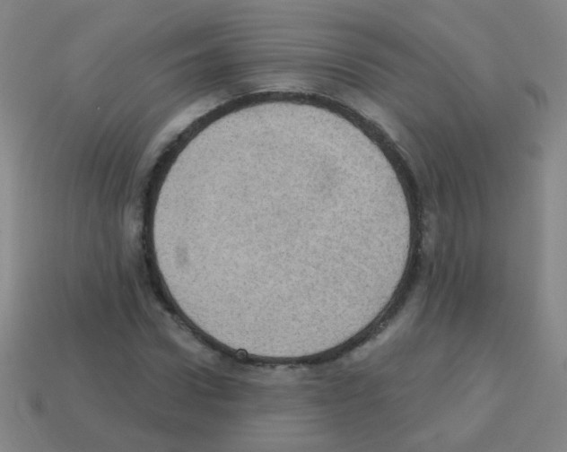 X0000113230922200910221036