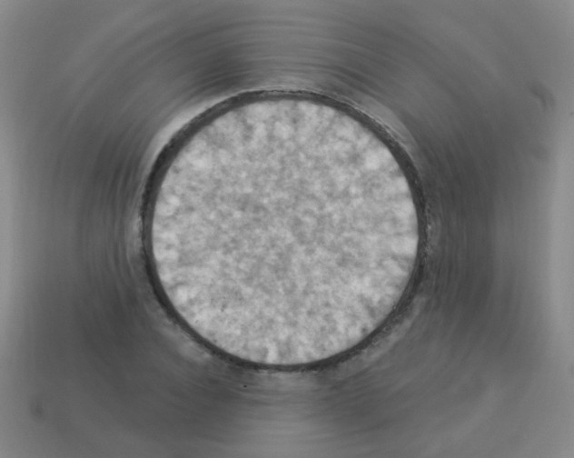 X0000113230928200910221036