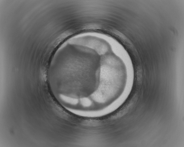 X0000113230929200910221036