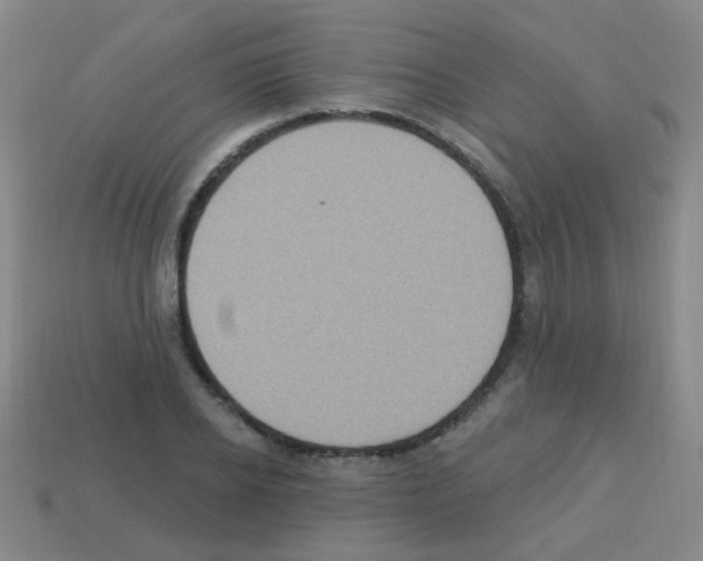 X0000113230934200910221036