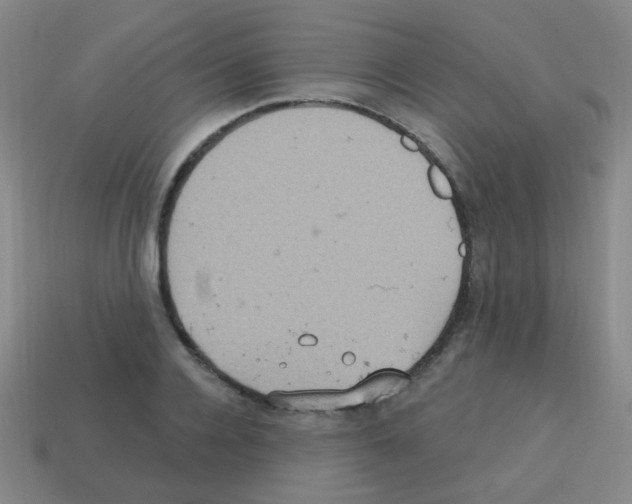 X0000113230936200910221036