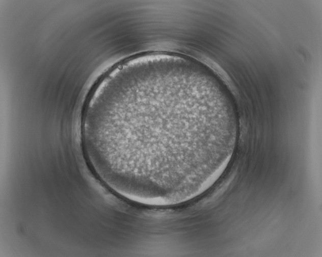 X0000113230939200910221036