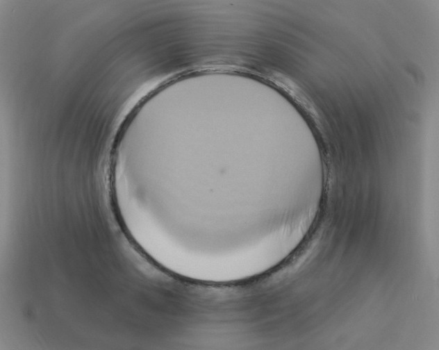 X0000113230941200910221036