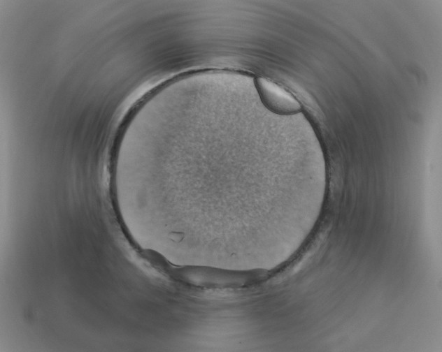 X0000113230944200910221036