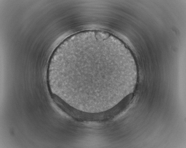 X0000113230946200910221036