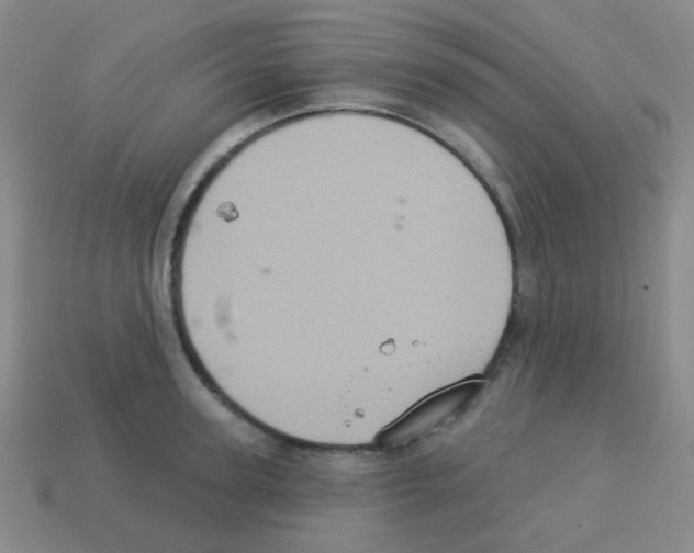 X0000113230947200910221036