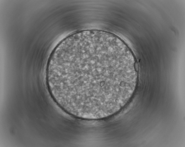 X0000113230949200910221036