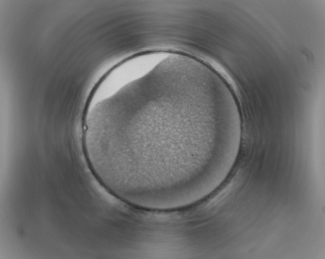 X0000113230951200910221036