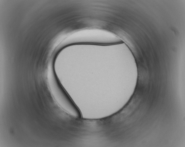 X0000113230956200910221036