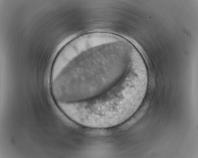 X0000113230957200910221036