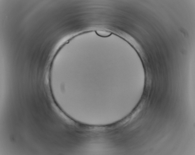 X0000113230958200910221036