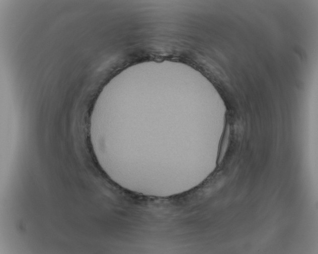 X0000113230961200910221036