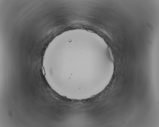 X0000113230965200910221036