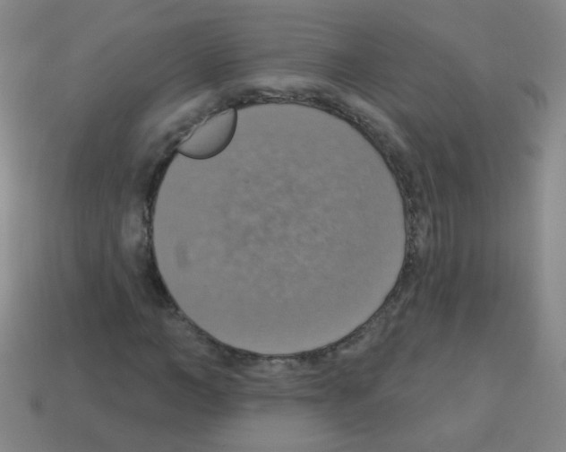 X0000113230966200910221036