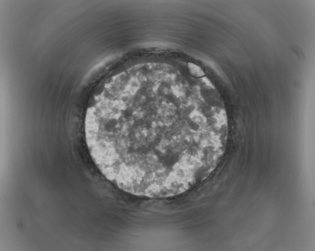 X0000113230967200910221036